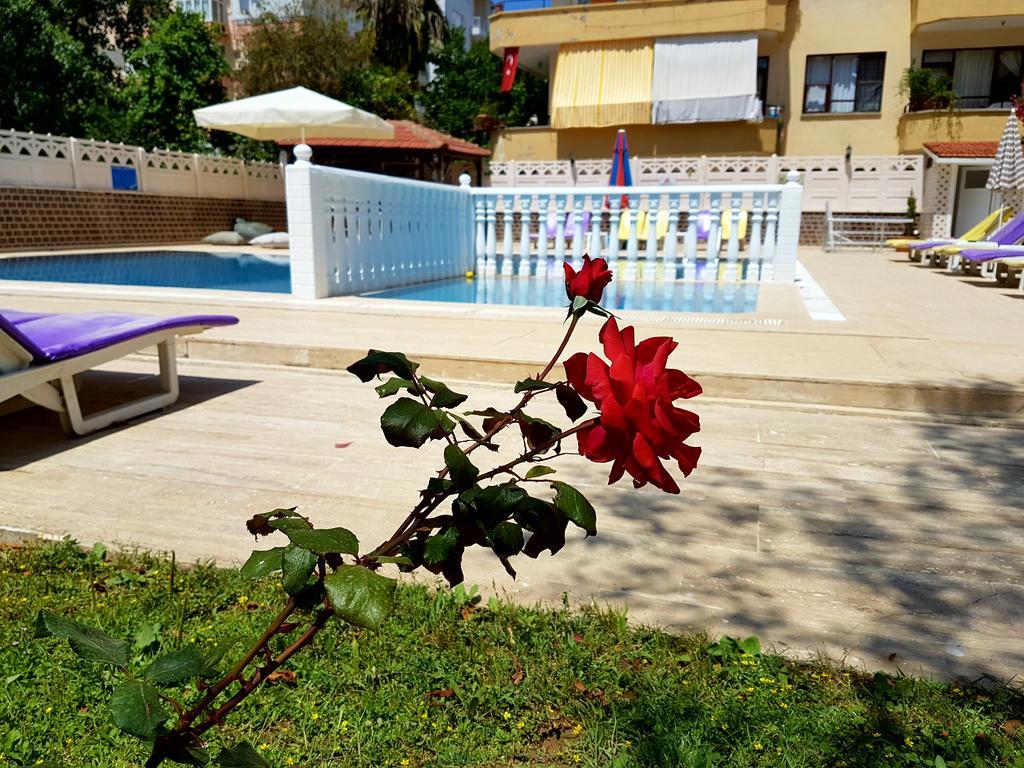 Hotel apartamentowy Palmen Alanya